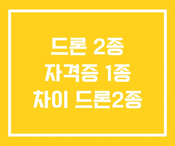 드론 2종 자격증 1종 차이 드론2종