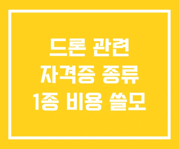 드론 관련 자격증 종류 1종 비용 쓸모 드론 관련 자격증 종류 1종 비용 쓸모