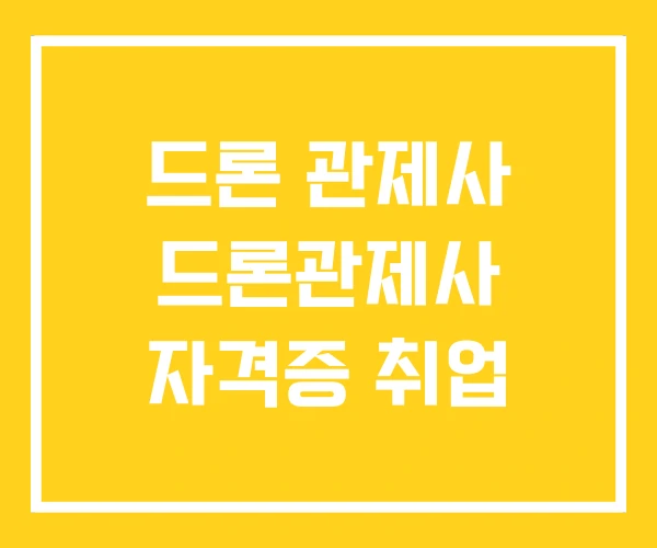 드론 관제사 드론관제사 자격증 취업