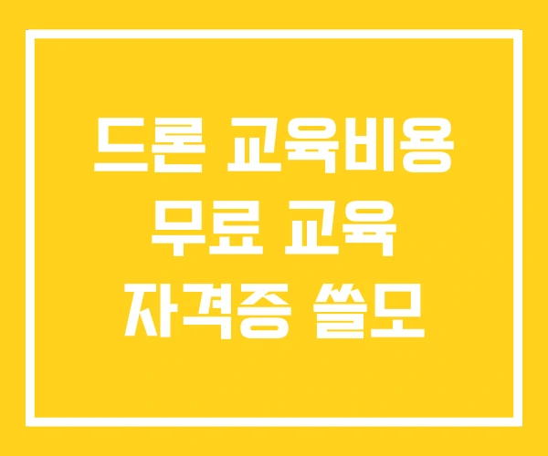드론 교육비용 무료 교육 자격증 쓸모