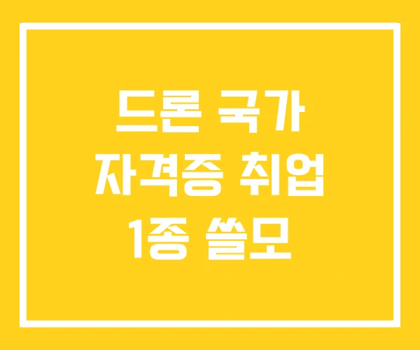 드론 국가 자격증 취업 1종 쓸모 드론 국가 자격증 취업 1종 쓸모