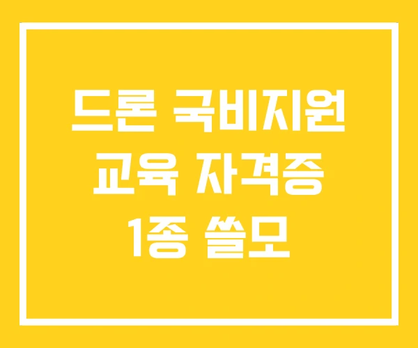 드론 국비지원 교육 자격증 1종 쓸모 드론 국비지원 교육 자격증 1종 쓸모