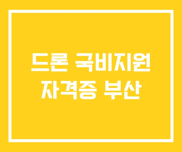 드론 국비지원 자격증 부산 드론 국비지원 자격증 부산