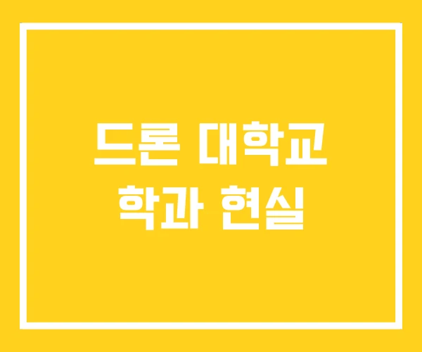 드론 대학교 학과 현실