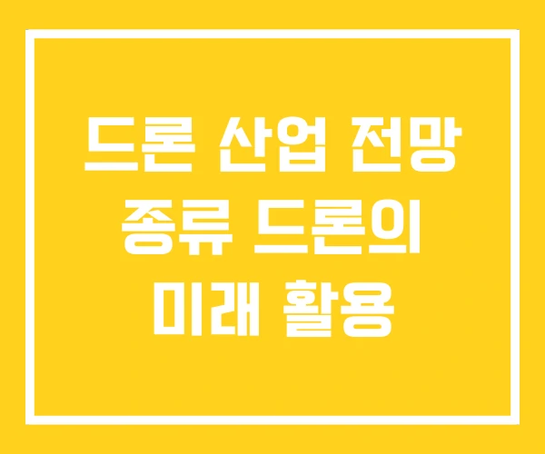 드론 산업 전망 종류 드론의 미래 활용