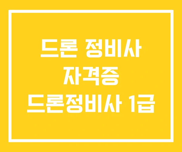 드론 정비사 자격증 드론정비사 1급