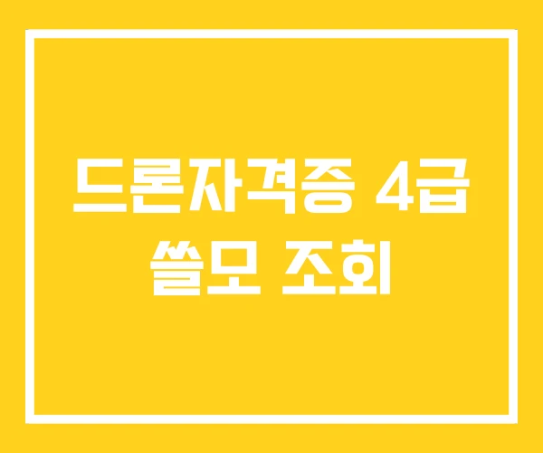 드론자격증 4급 쓸모 조회