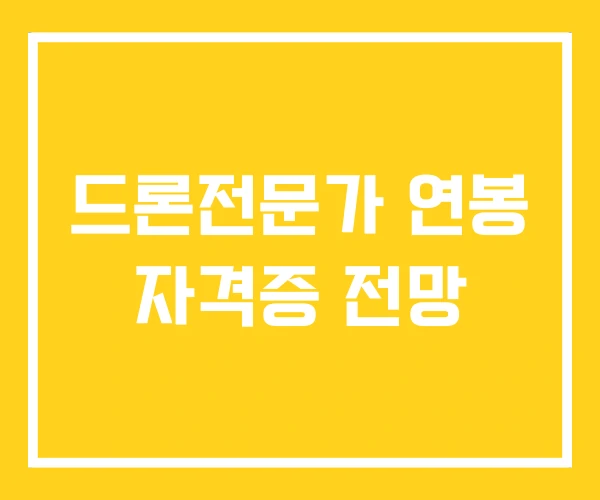 드론전문가 연봉 자격증 전망