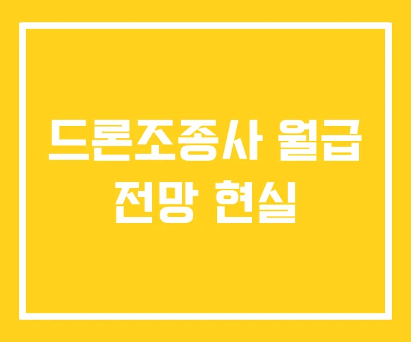 드론조종사 월급 전망 현실