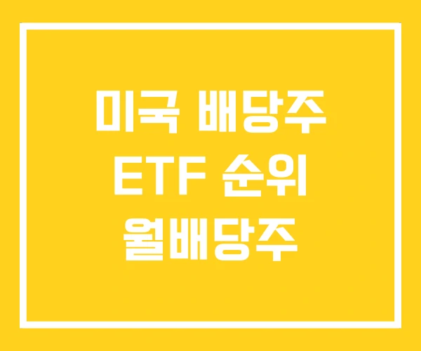 미국 배당주 ETF 순위 월배당주 미국 배당주 ETF 순위 월배당주