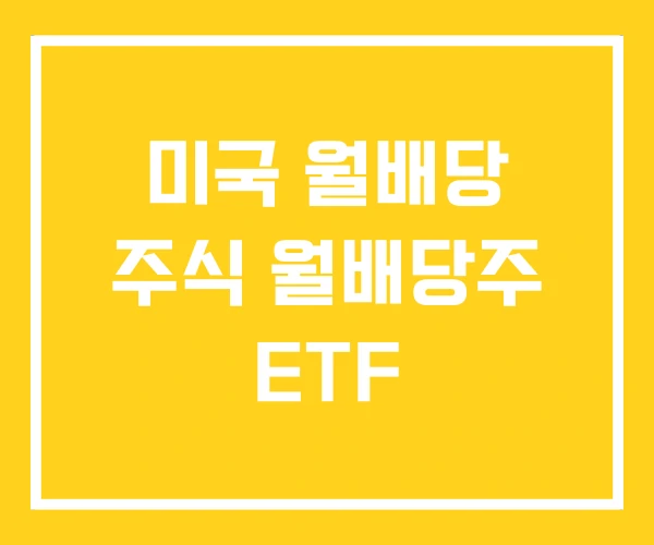 미국 월배당 주식 월배당주 ETF 미국 월배당 주식 월배당주 ETF