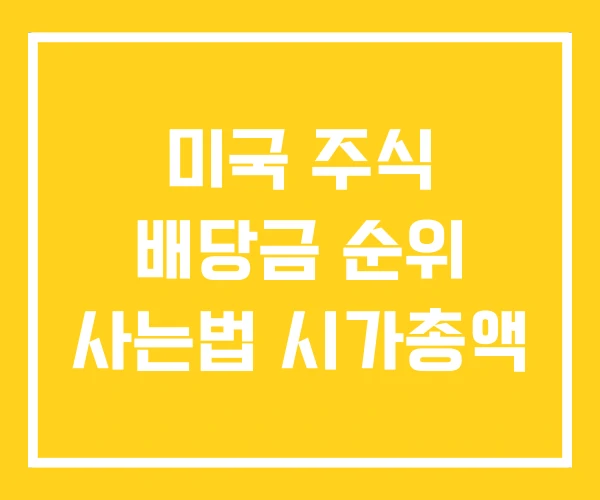미국 주식 배당금 순위 사는법 시가총액
