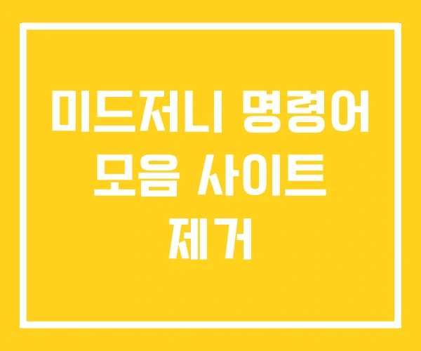 미드저니 명령어 모음 사이트 제거