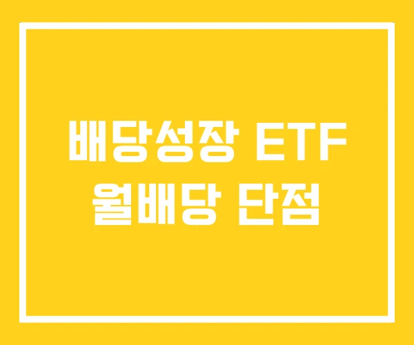 배당성장 ETF 월배당 단점