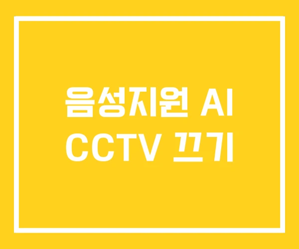 음성지원 AI CCTV 끄기