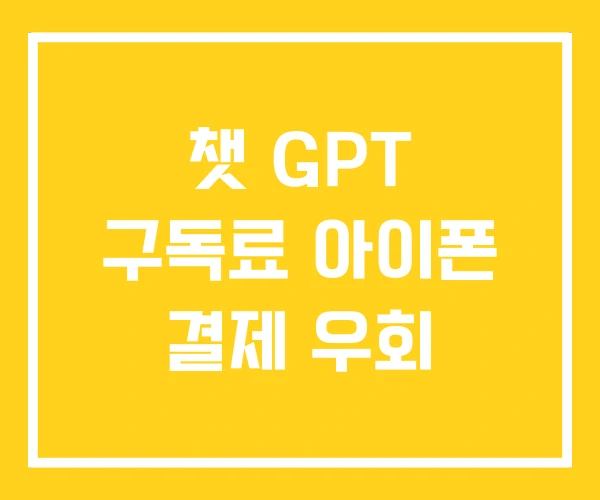 챗 GPT 구독료 아이폰 결제 우회
