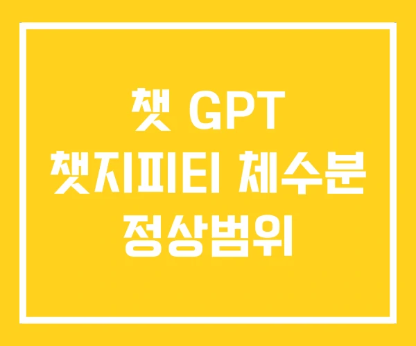 챗 GPT 챗지피티 체수분 정상범위