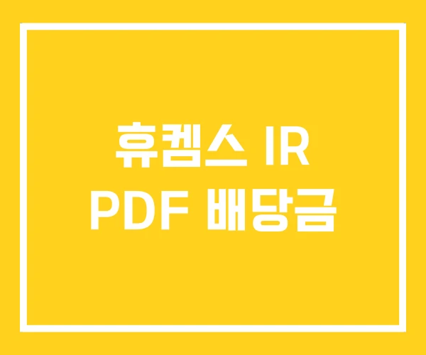 휴켐스 IR PDF 배당금