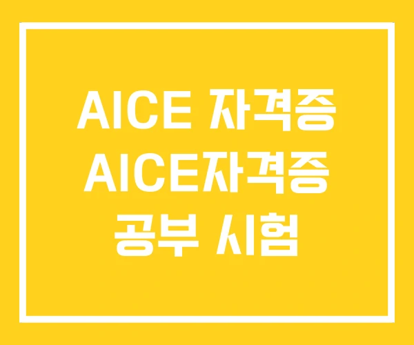 AICE 자격증 AICE자격증 공부 시험