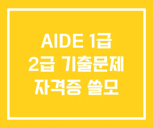 AIDE 1급 2급 기출문제 자격증 쓸모