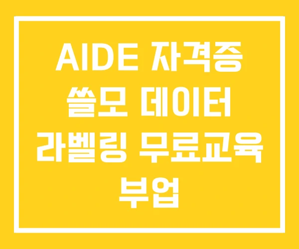AIDE 자격증 쓸모 데이터 라벨링 무료교육 부업