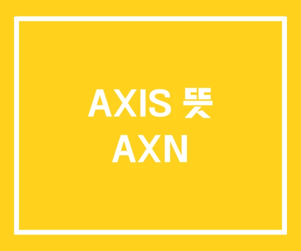 AXIS 뜻 AXN
