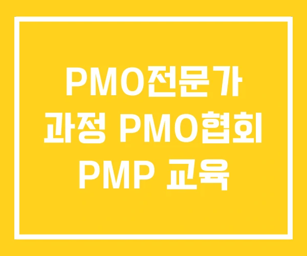PMO전문가 과정 PMO협회 PMP 교육