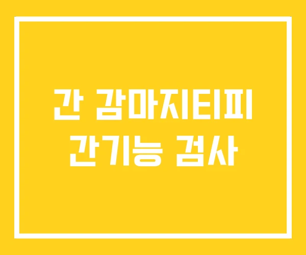 간 감마지티피 간기능 검사 간 감마지티피 간기능 검사