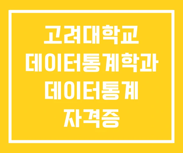 고려대학교 데이터통계학과 데이터통계 자격증