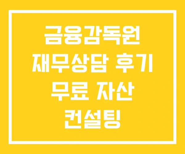 금융감독원 재무상담 후기 무료 자산 컨설팅