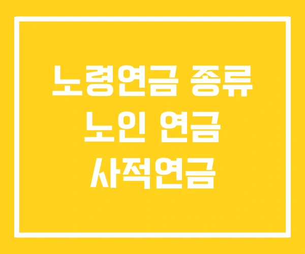 노령연금 종류 노인 연금 사적연금